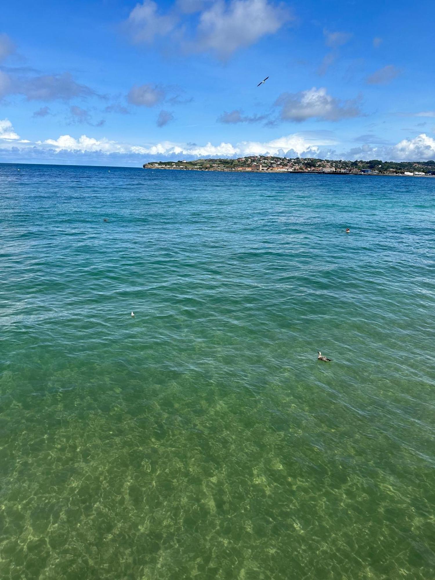Cozy Flat 5 Mins From The Beach Gijon Ngoại thất bức ảnh